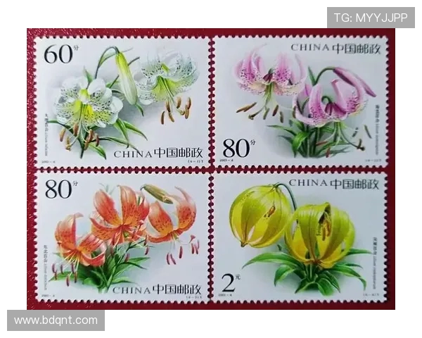 阿根廷世界杯百科全书荣耀与传奇全记录探索十届征程辉煌历史珍藏版